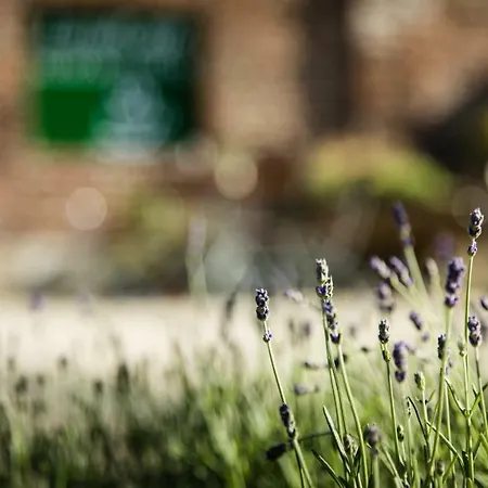 Pensjonat Kerckenhof