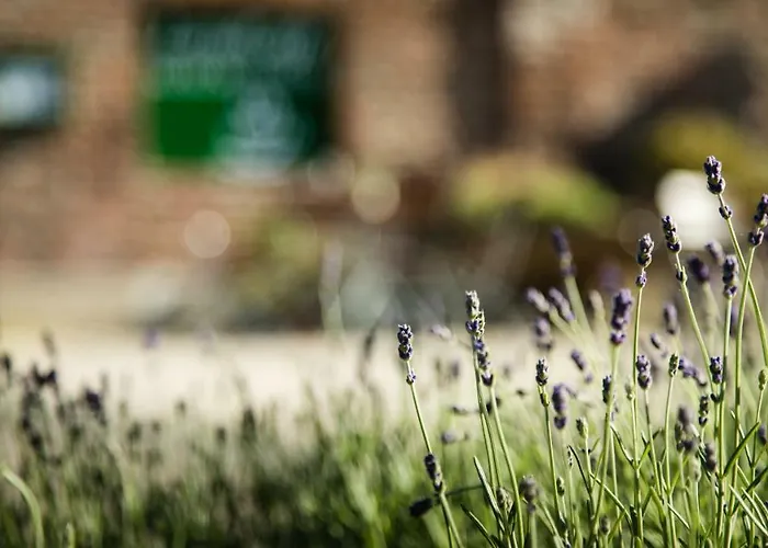 Pensjonat Kerckenhof